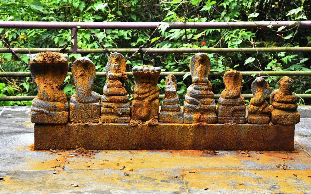 idol-of-snake-gods-in-a-hindu-temple