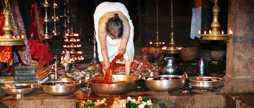 Mannarasala Ayilyam festival in Mannarasala Sree Nagaraja Temple