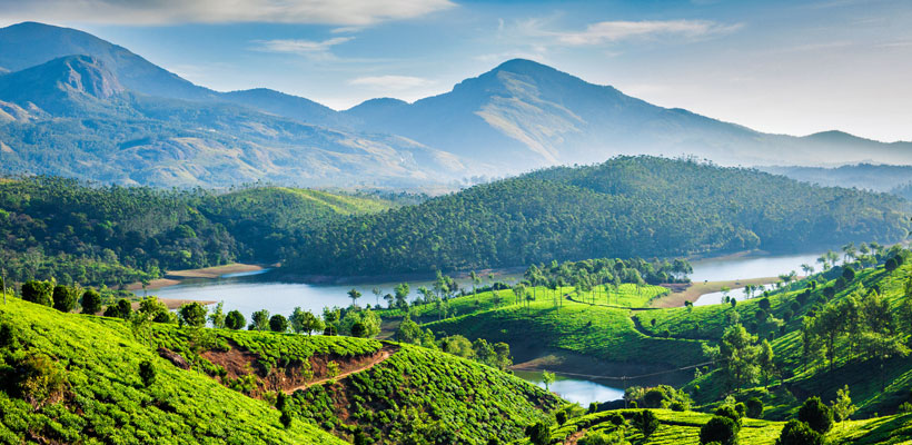 A scenic view of Munnar hill station