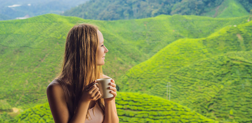 Young woman Drinking Healthy Green Tea against a tea plantation in Munnar.