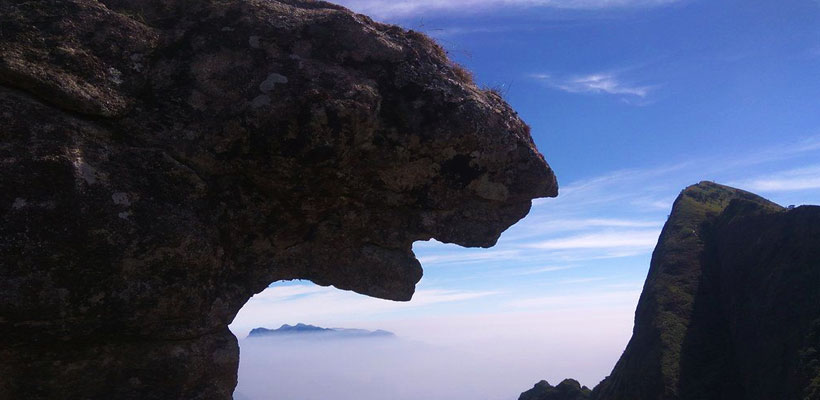 Meesapulimala in Munnar