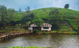 Kerala Monsoon season