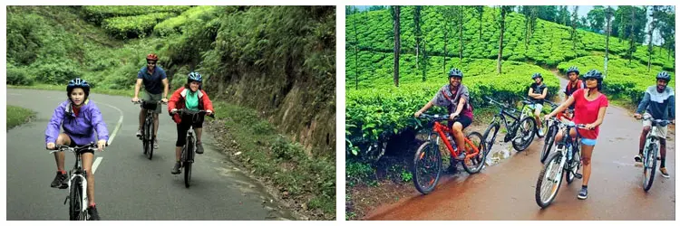 Munnar Cycle