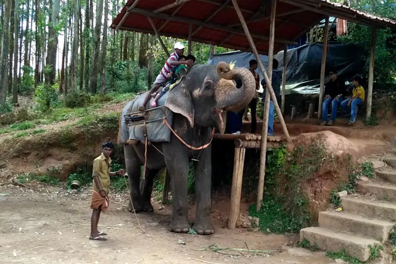 Minute Elephant Ride