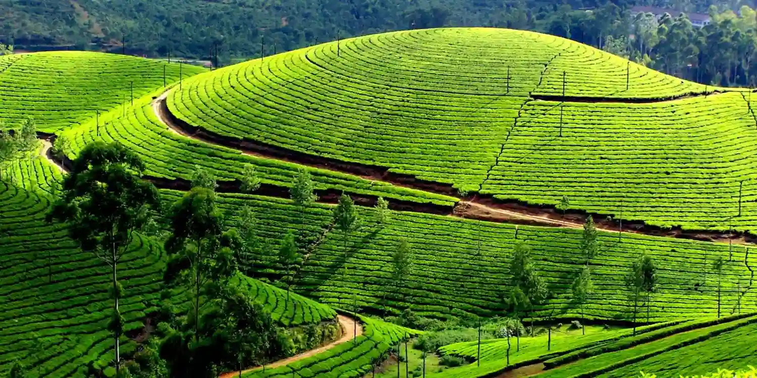 Charming Kerala Tour