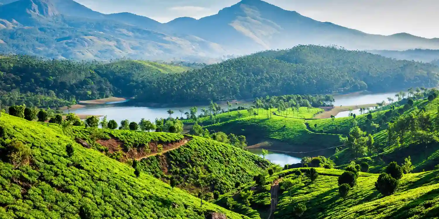 Kerala In Tripod Munnar