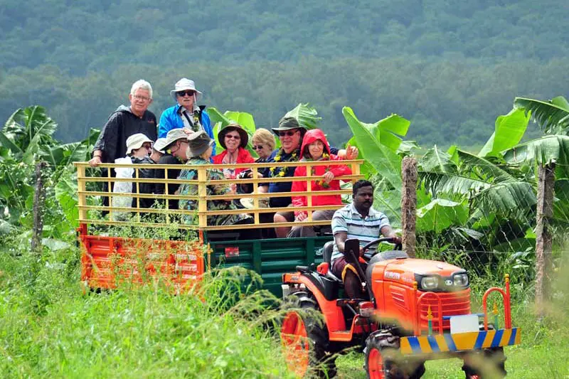 Top Things To Do In Kerala