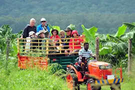 Top Things To Do In Kerala1