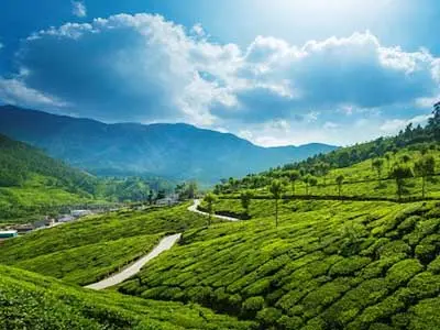 Munnar