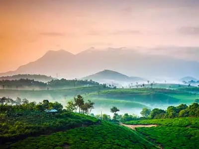 Wayanad