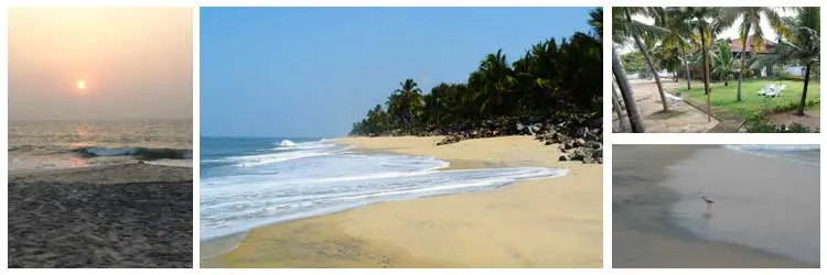 Alleppey Beach
