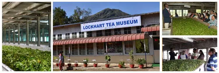 Lockhart Tea Museum