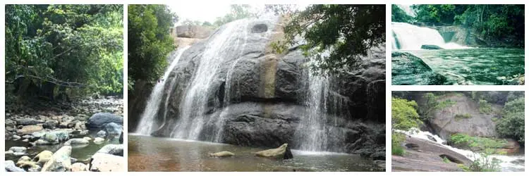 Thommankuthu Waterfalls