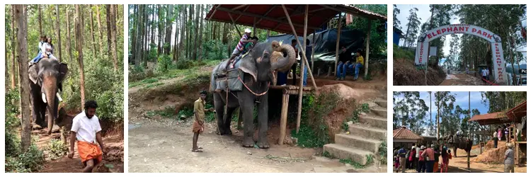 Carmelagiri Elephant Park