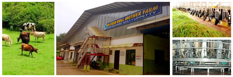 Indo Swiss Dairy Farm