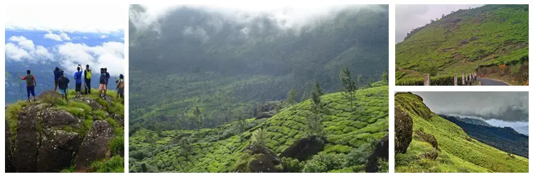 Pothamedu View Point