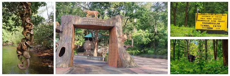 Parambikulam Wildlife Sanctuary