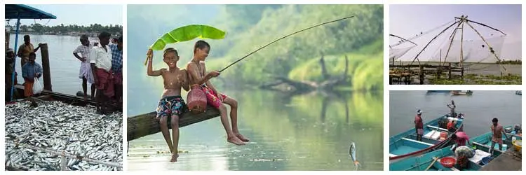 Fishing Village Poovar