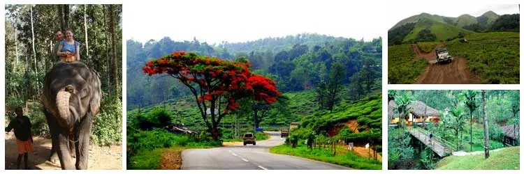 Murikkady