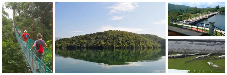 Neyyar Dam Wildlife Sanctuary