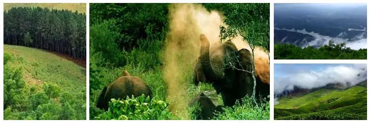 Ulipooni Wildlife Sanctuary