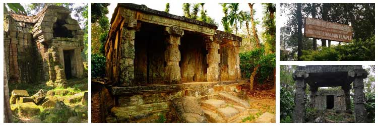 Puliyarmala Jain Temple