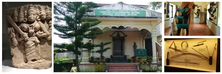 Wayanad Heritage Museum