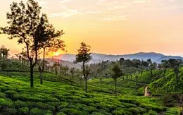 Valparai Athirapally