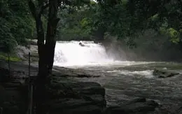 Thommankuthu Waterfalls Idukki