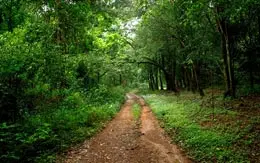 Aaralam Wildlife Sanctuary Kannur