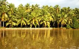 Karamana River Kovalam