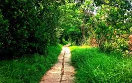 Pathiramanal Island Kumarakom