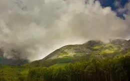 Meesapulimala Munnar