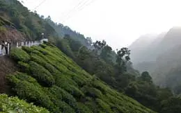 Pothamedu View Point Munnar