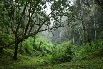Pathanamthitta Kerala