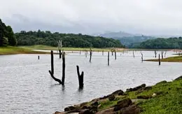 River Periyar