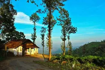 Wayanad Kerala