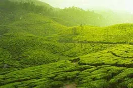 Munnar