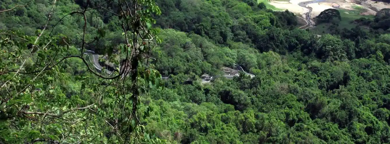 Chinnar Wildlife Sanctuary Kerala Tourism | Spotted At The Chinnar