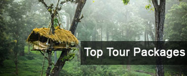 Kerala Top Tour Packages