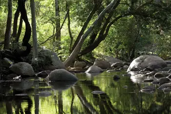 Chinnar Wildlife Sanctuary